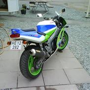 Kawasaki ZXR 750 (SOLGT)