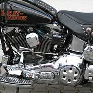 Harley Davidson Flstc