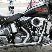 Harley Davidson Flstc