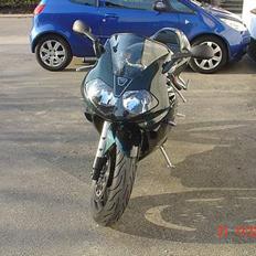 Triumph Daytona 955i CE