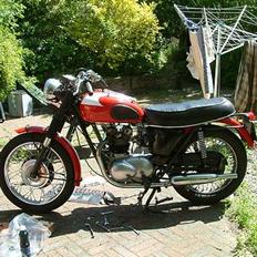 Triumph T100ss