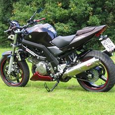 Suzuki SV 1000 " SOLGT "