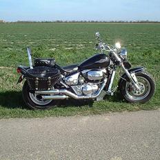 Suzuki VZ800 Marauder