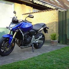 Honda Hornet