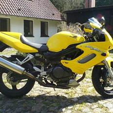 Honda VTR 1000 Firestorm