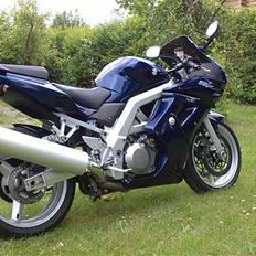 Suzuki SV1000s