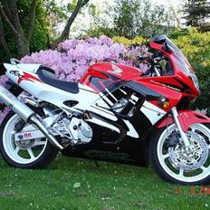 Honda CBR 600 F3 SOLGT