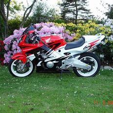 Honda CBR 600 F3 SOLGT