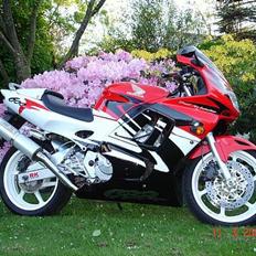 Honda CBR 600 F3 SOLGT