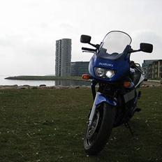 Suzuki GS 500 F (SOLGT)