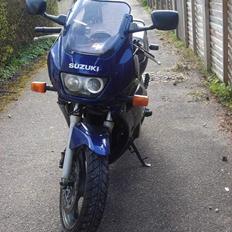 Suzuki Gs 500 E