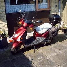 PGO T-REX 150