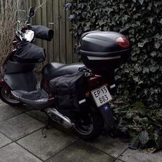 PGO T-REX 150