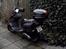 PGO T-REX 150
