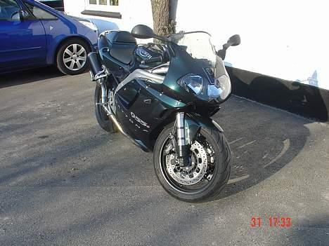 Triumph Daytona 955i CE billede 1