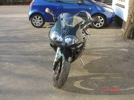 Triumph Daytona 955i CE billede 3