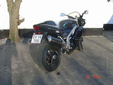 Triumph Daytona 955i CE billede 4