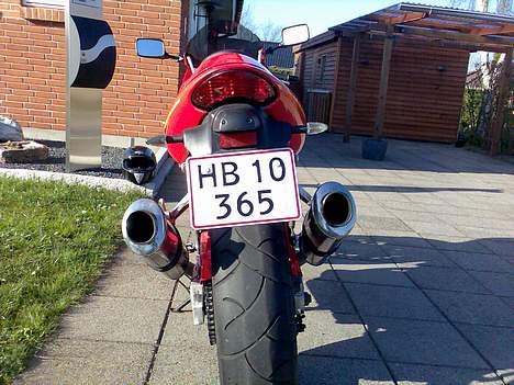 Suzuki TL1000S " SOLGT" - Nye dæk er på vej...for det her har vist kun kørt lige ud. billede 3