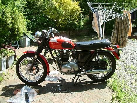 Triumph T100ss billede 3