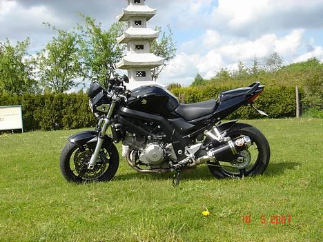 Suzuki SV 1000 N SOLGT - den sorte på græs  billede 2