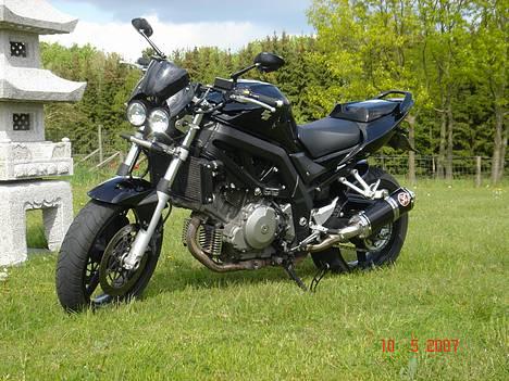 Suzuki SV 1000 N SOLGT - 120 heste på græs  billede 3