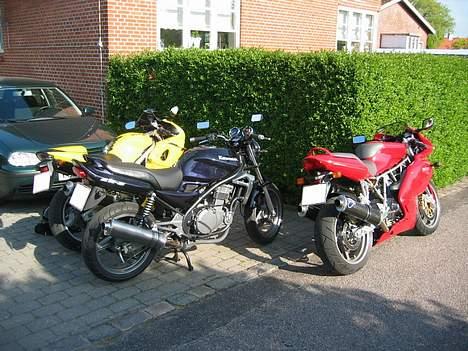 Kawasaki ER-5 billede 8