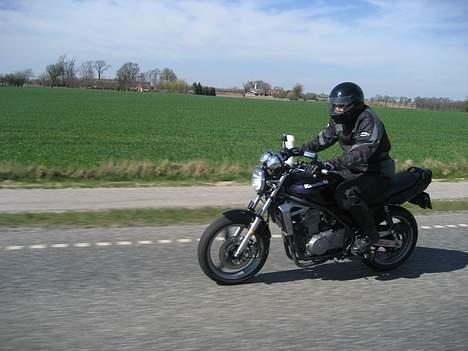 Kawasaki ER-5 billede 9