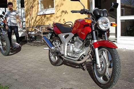 Honda CBF 250 TIL SALG billede 2