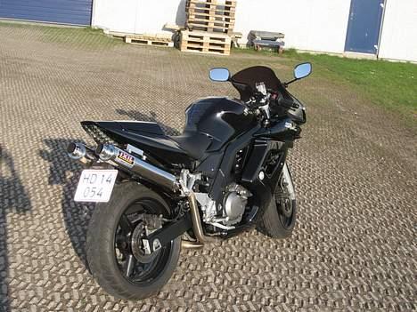 Suzuki SV 650s DØD desværre - har rettet på nr pladeholderen efter dette billede nu sidder den meget mere srå og længere inde... nam nam... billede 7