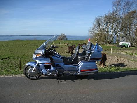 Honda Gl 1500 GoldWing - GW 1500 med Venø bugt i baggrunden. billede 5