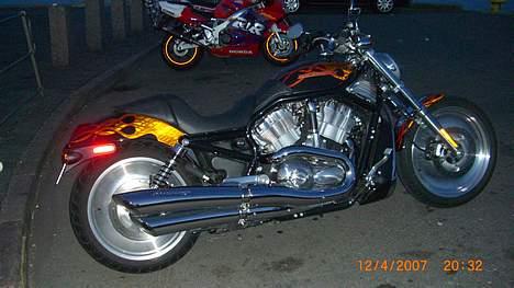 Harley Davidson sport Touring VRSCB - på linen billede 11