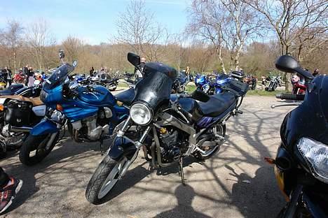 Suzuki GS500 *solgt* billede 5