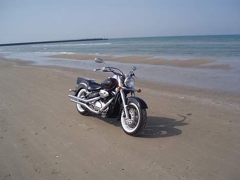 Suzuki VL 800 Volusia "SOLGT" billede 16