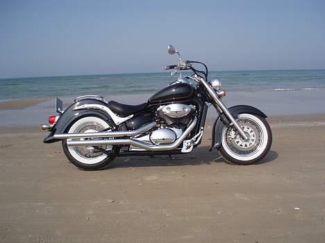 Suzuki VL 800 Volusia "SOLGT" billede 17