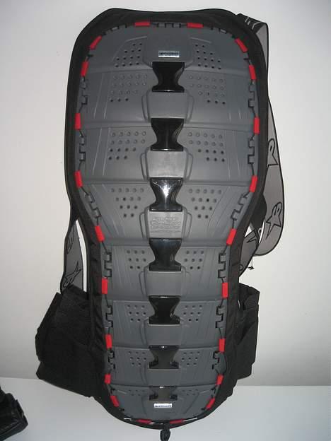 Kawasaki ER 5 - Alpinestars Tech Back Protector billede 13