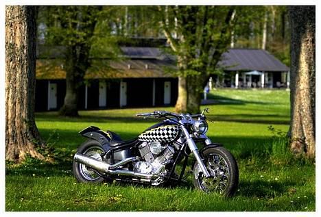Yamaha xvs 1100 Dragstar billede 11