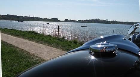 Yamaha xvs 1100 Dragstar billede 13