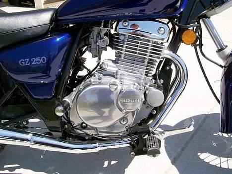 Suzuki GZ250 billede 4