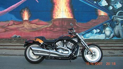 Harley Davidson sport Touring VRSCB billede 13