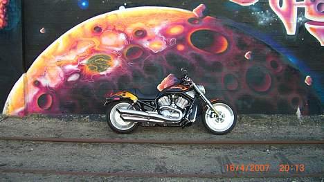 Harley Davidson sport Touring VRSCB billede 14