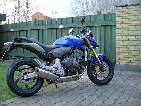 Honda Hornet - De har virkelig lavet en super fed potte samt rørsystem billede 1