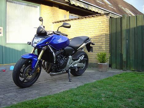 Honda Hornet - Godt look med guld farvet dæmpere og bremser billede 2