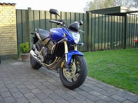 Honda Hornet - Rigtig lækkert design med mono lygte billede 3