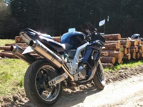 Suzuki SV 1000S (Aalborg) billede 10