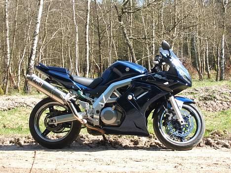 Suzuki SV 1000S (Aalborg) billede 11