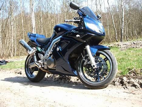 Suzuki SV 1000S (Aalborg) billede 12