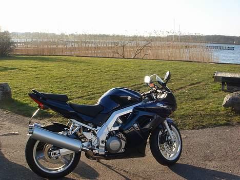 Suzuki sv 1000s billede 2