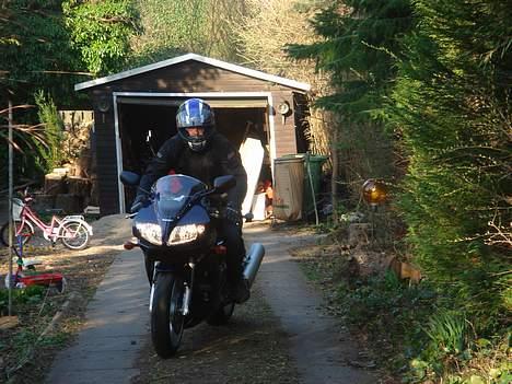 Suzuki sv 1000s billede 3