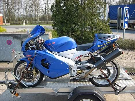 Aprilia RSV 1000 Mille billede 1