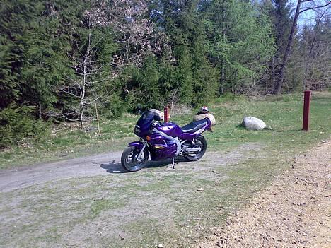 Suzuki GS500E *SOLGT* billede 3